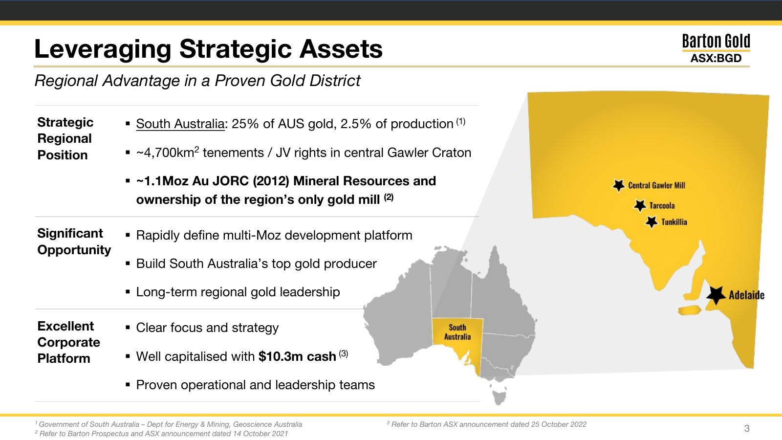 Original strategic-assets slide, framed and text-heavy