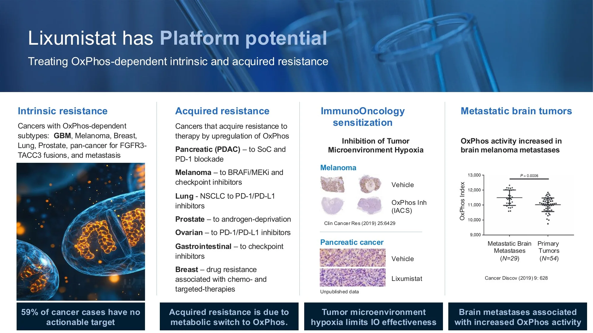 ImmunoMet investor deck slide 14: Lixumistat has platform potential