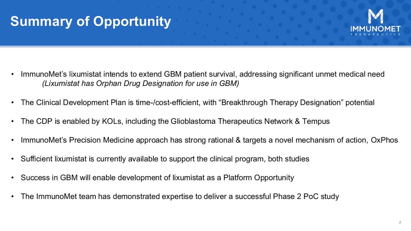 Original summary-of-opportunity slide, a dense page of bullet points